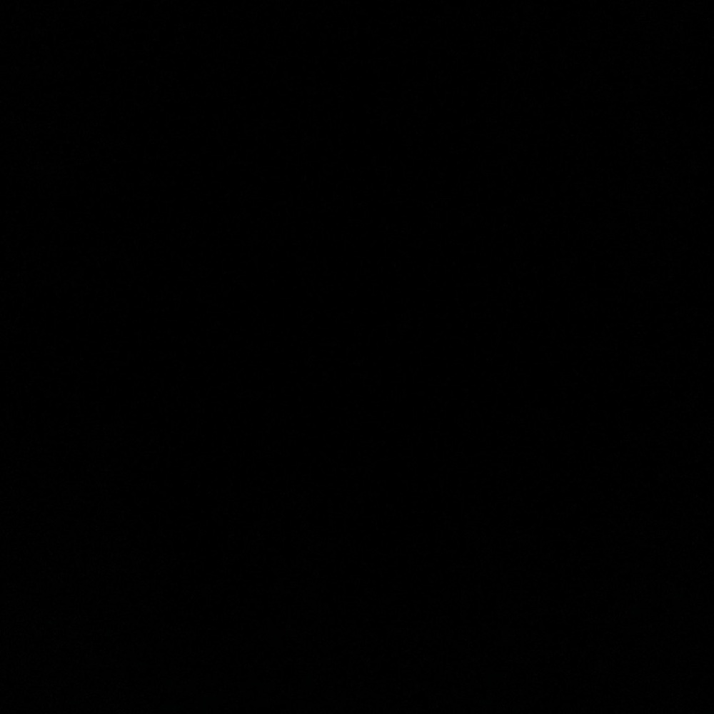 Meet your Posher, Maddi